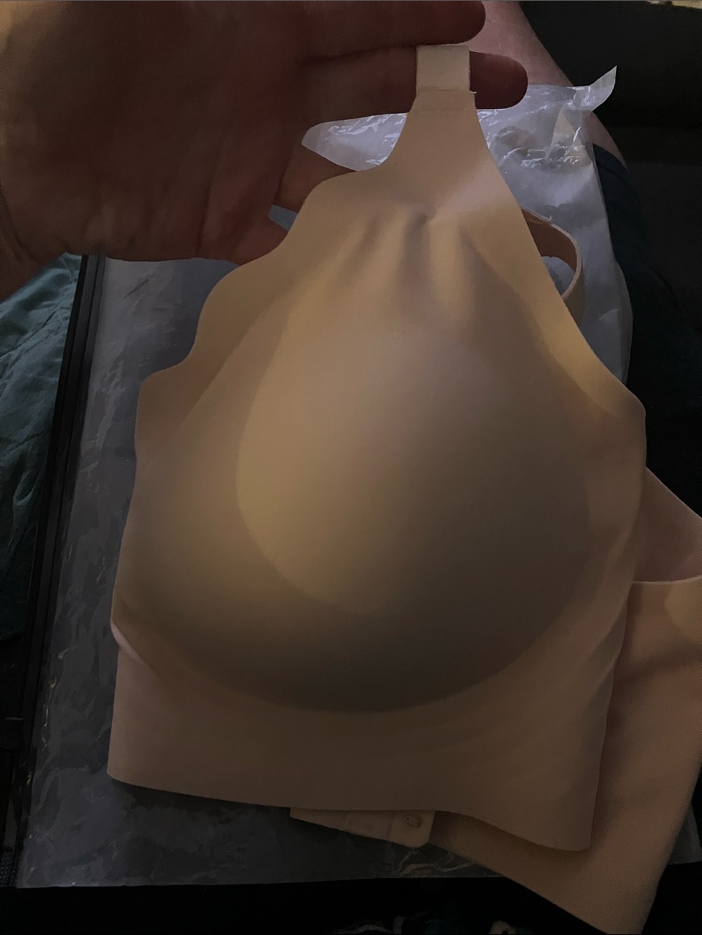 Nude/Blush Satin Bra